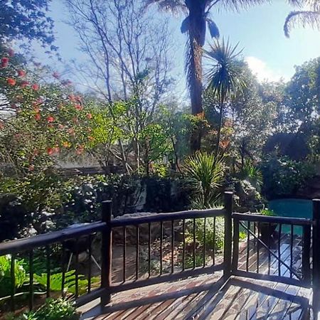 Pantera Lodge & Cheetah Cottage ヨハネスブルグ エクステリア 写真