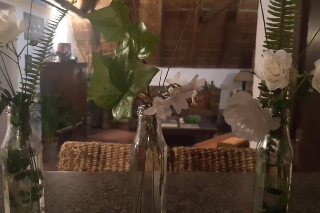 Pantera Lodge & Cheetah Cottage ヨハネスブルグ エクステリア 写真