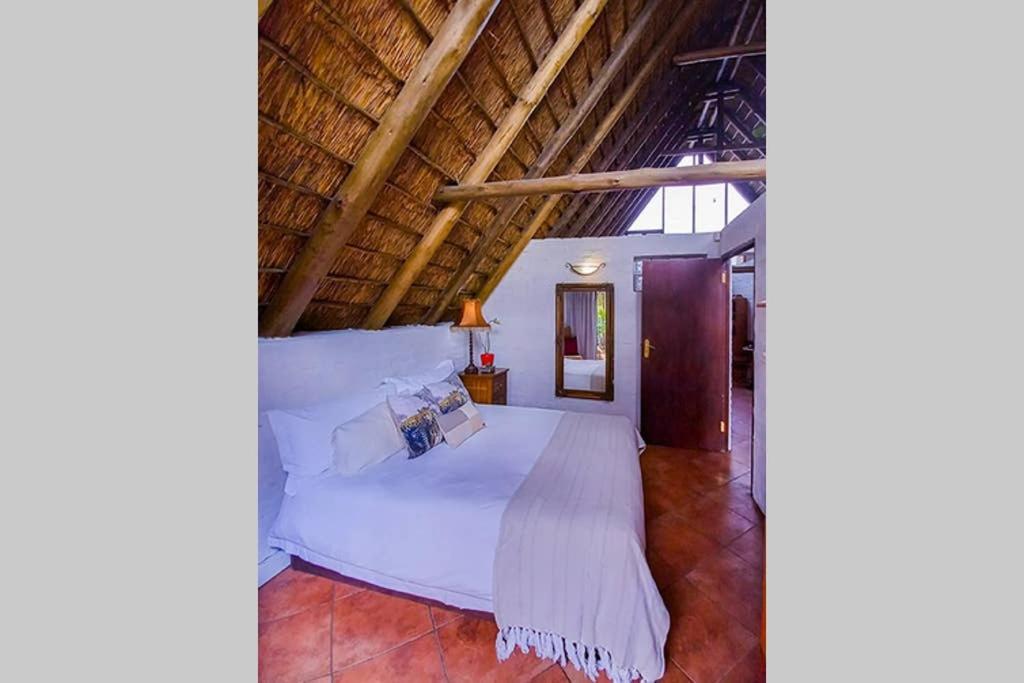 Pantera Lodge & Cheetah Cottage ヨハネスブルグ エクステリア 写真