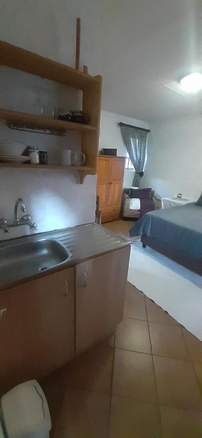Pantera Lodge & Cheetah Cottage ヨハネスブルグ エクステリア 写真