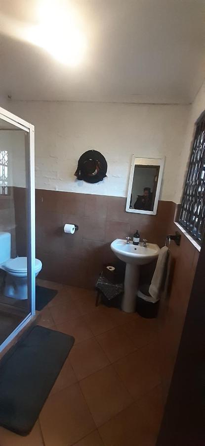 Pantera Lodge & Cheetah Cottage ヨハネスブルグ エクステリア 写真
